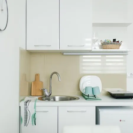 Veselinovic شقة Vrnjačka Banja