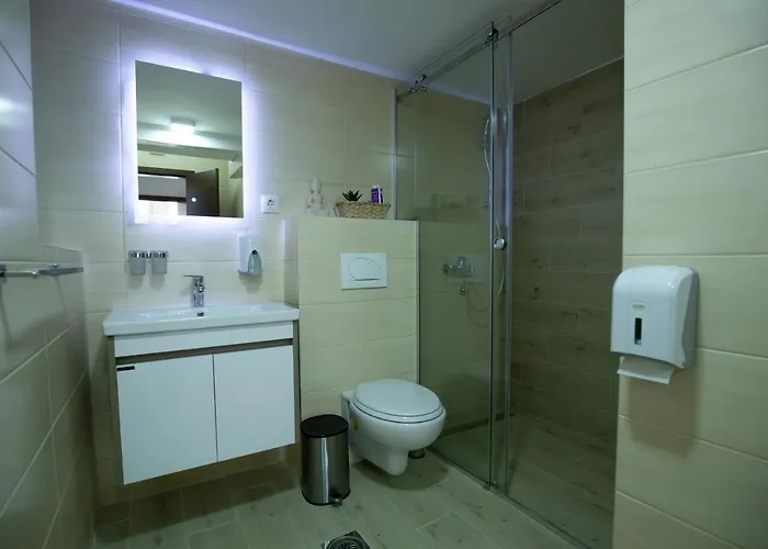 Daire Veselinovic Vrnjačka Banja