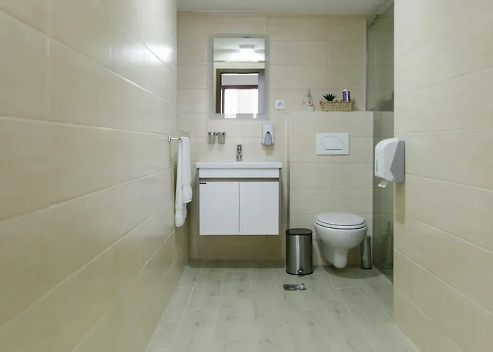 Daire Veselinovic Vrnjačka Banja