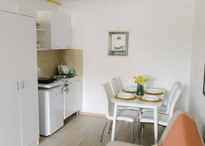 Daire Veselinovic Vrnjačka Banja