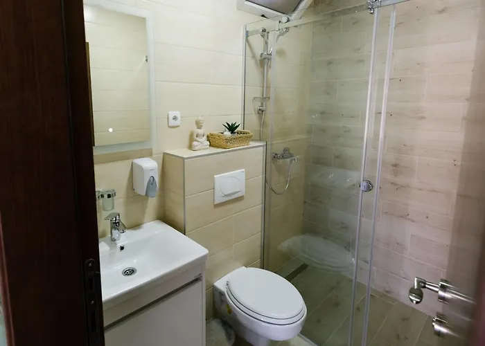 Daire Veselinovic Vrnjačka Banja