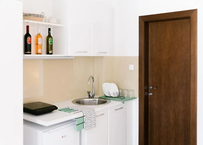 Daire Veselinovic Vrnjačka Banja